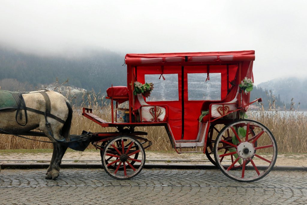 Voiture pour les Chevaux